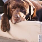 Bia Bed Hondenmand Outdoor Taupe - Bia-4 85 x 70 x 15 cm