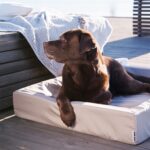 Bia Bed Hondenmand Outdoor Taupe - Bia-4 85 x 70 x 15 cm
