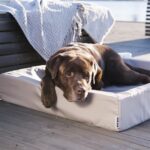 Bia Bed Hondenmand Outdoor Taupe - Bia-4 85 x 70 x 15 cm