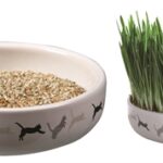 Trixie Kattengraszaad 50Gr In Keramiek - 15 x 15 x 4 cm