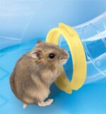 Imac Hamsterkooi Fantasy - 58 x 38 x 38,5 cm