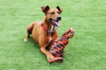 Happy Pet Nuts For Knots Extreme Spoel 8 Vorm Tugger Grijs / Oranje - 55 x 11 x 11 cm
