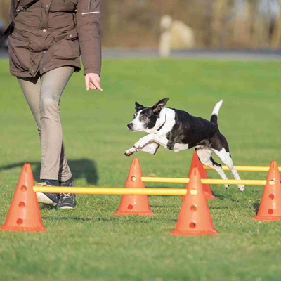 Trixie Dog Activity Hordenset - 2 stuks