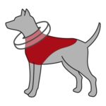 Trixie Beschermkraag Opblaasbaar Blauw - L-Xl 66-78 x 12 cm