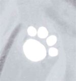 Trixie Regenjas Tarbes Transparant / Zwarte Stroken - 55 cm