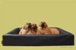 Bia Bed Hondenmand Original Square Zwart - Bia-3 70 x 60 x 15 cm