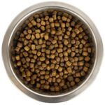 Yourdog Koningspoedel Pup - 12 kg