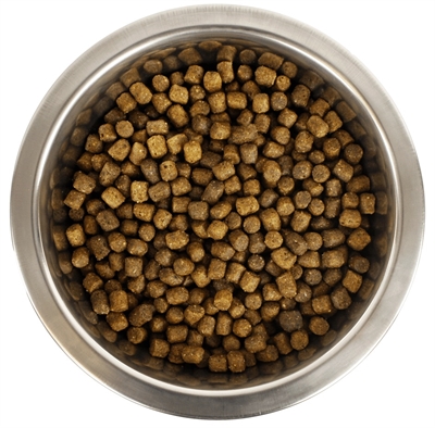 405990.jpg Yourdog Koningspoedel Pup - 12 kg