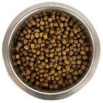 Yourdog Dwerg- Of Toypoedel Pup - 12 kg
