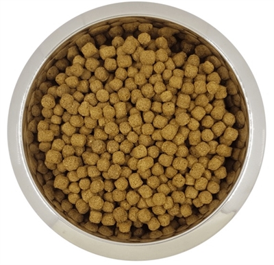 405996.jpg Yourdog Dwerg- Of Toypoedel Senior - 12 kg