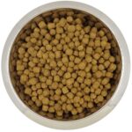 Yourdog Dwerg- Of Toypoedel Volwassen - 12 kg