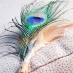 Croci Euphoria Kattenhengel Matatabi Pauwenveer - 12 cm