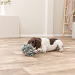 Trixie Dog Activity Snuffelbal - 15 x 15 x 15 cm