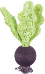 Trixie Speelbal Set Biet / Aardbei Hout / Loofah - 6/9 cm