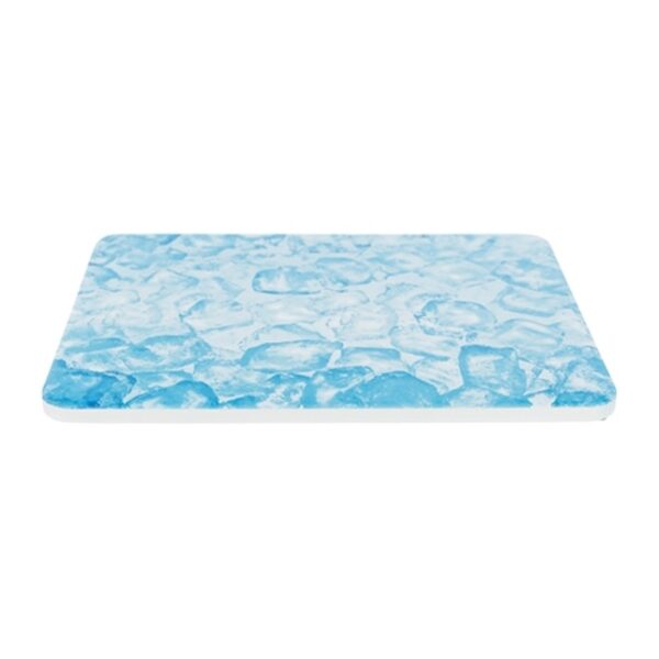 Trixie Koelplaat Hamster Blauw - 20 x 15 cm