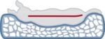 Trixie Vital Hondenkussen Bendson Orthopedisch Grijs - 120 x 80 cm