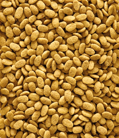 Nutribird P15 Original Onderhoudsvoeder - 10 kg