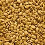 Nutribird P15 Original Onderhoudsvoeder - 1 kg