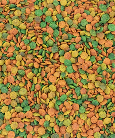 Nutribird Tropical G14 Onderhoudsvoeder - 1 kg