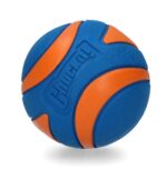 Chuckit Ultra Squeaker Bal - Xl 8 x 8 x 8 cm
