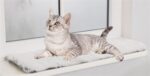 Trixie Ligmat Harvey Voor Vensterbank Wit-Zwart - 90 x 28 x 1,5 cm