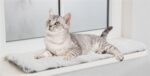 Trixie Ligmat Harvey Voor Vensterbank Wit-Zwart - 90 x 28 x 1,5 cm