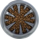 Trixie Voerbak Slowfeeding Kunststof / Tpr Assorti - 25 cm 1,4 l