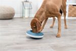 Trixie Slowfeeding Rocking Bowl Kunststof / Tpr Grijs / Blauw - 23 x 23 cm 500 ml