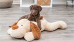 Trixie Knuffel Hondbenny Pluche Beige / Bruin - 75 cm