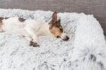 Trixie Sofa Bed Harvey Meubelbeschermer Hoekig Wit / Zwart - 70 x 90 x 7 cm
