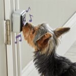 Hunger For Words Talking Pet Doorbell - 10,2 x 19,1 x 4,1 cm