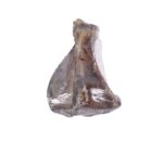 Petsnack Varkensschouderblad - 10 stuks