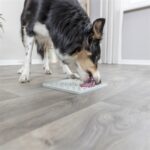 Trixie Lick'N'Snack Mat Siliconen Lichtgrijs - 20 x 20 cm