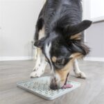Trixie Lick'N'Snack Mat Siliconen Lichtgrijs - 20 x 20 cm