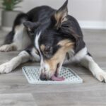 Trixie Lick'N'Snack Mat Siliconen Lichtgrijs - 20 x 20 cm