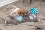 Trixie Pluche Luiaard Grijs Met Heartbeat Voor Puppy - 34 cm