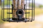 Trixie Voerdispenser Met Gaasbescherming Zwart - 26 x 17 x 17 cm