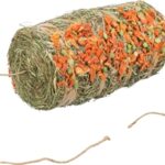 Trixie Hooipendel Erwten / Wortel Om Op Te Hangen - 16 x 10 x 10 cm 250 g
