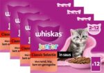 Whiskas Multipack Pouch Junior Classic Selectie Vlees In Saus - 4 x 12 x 85 g