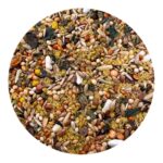 Utopia Grote Parkieten Afrikaans Top Quality - 1 kg