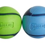 Chuckit Sniff Fetch Bal Combo Pindakaas & Bacon - 6 cm