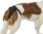 Trixie Beschermbroekje Comfort Mesh Materiaal Zwart - 30-37 cm