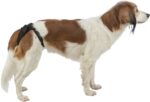 Trixie Beschermbroekje Comfort Mesh Materiaal Zwart - 60-70 cm
