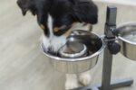 Trixie Voerbak Hond Slow Feeding Rvs - 17 cm