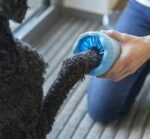 Trixie Pootreiniger Voor De Hond Silicone / Pp Blauw - Medium / Large 15 cm