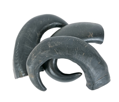 412943.jpg Petsnack Hoorn Tip - 3 stuks