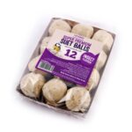 Suet To Go Premium Vetbollen Met Insecten - 12 x 85 g