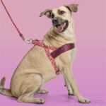 Morso Norwegian Hondentuig Gerecycled Pink Think Roze - 46-60 x 42 cm
