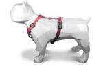 Morso Hondentuig H-Tuig Gerecycled Pink Think Roze - 60-80 x 2,5 cm