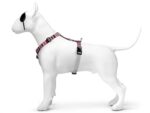 Morso Hondentuig H-Tuig Gerecycled Skyline Rood / Roze - 40-55 x 1,5 cm